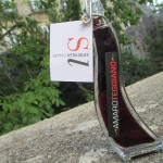 Salerno Letteratura Edizione 2015 - Il nostro omaggio agli artisti - Giugno 2015