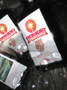 2016 - Amaro Teggiano ghiacciato al Castello Arechi di Salerno!