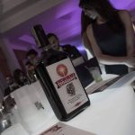 Rotaract Club Sala Consilina-Vallo Di Diano. Il Passaggio di Consegne - Il party con Amaro Teggiano - Luglio 2016